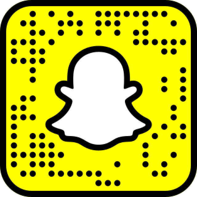 inCitu Snapcode